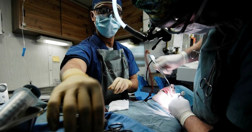 In the USA, surgeons removed a tooth that grew in a man's nose In the USA, surgeons removed a tooth that grew in a man's nose
