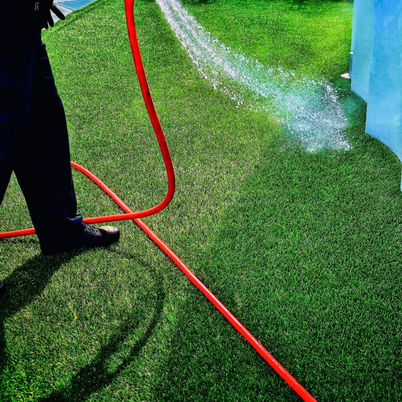 Increíblemente, esto fue filmado en un teléfono! Las mejores fotos del concurso iPhone Photography Awards 2021