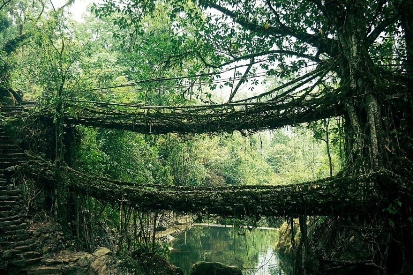 Increíblemente hermoso puentes de la vida real