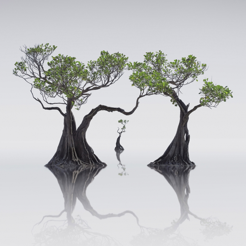 Increíbles paisajes de la naturaleza: 20 fotos que nos recuerdan la belleza de nuestro planeta es