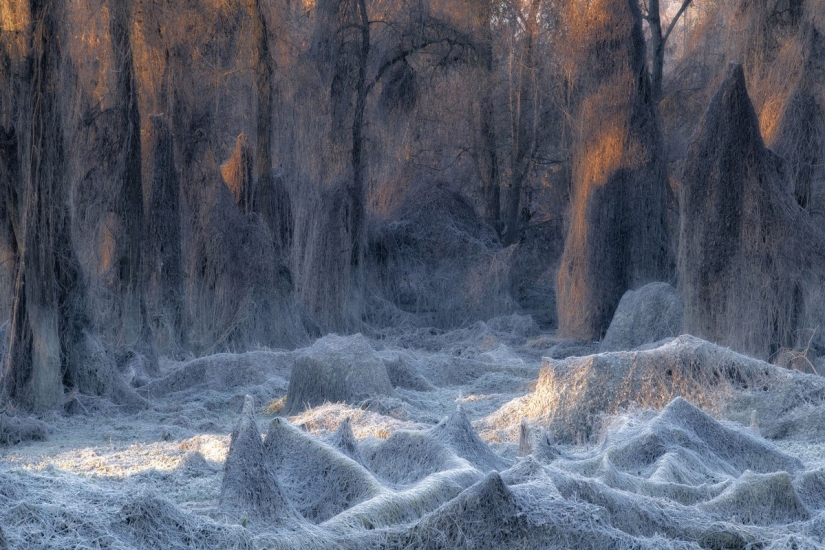Increíbles paisajes de la naturaleza: 20 fotos que nos recuerdan la belleza de nuestro planeta es