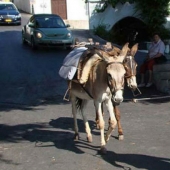 Indispensable facts about taxi around the world that you should know