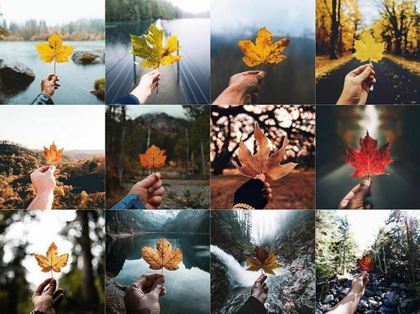 Instagram se inundó de fotos idénticas