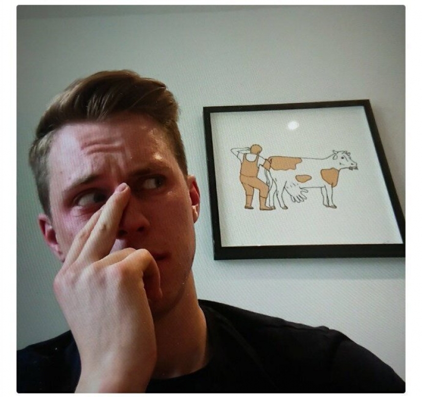 Is difficult: 19 ridiculous and absurd cases, online meetings during the quarantine