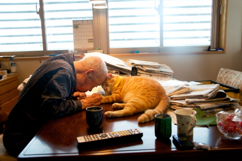 Japanese woman brought her grandfather back to life by giving him a kitten