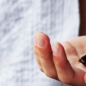 Kindness will save the world: a veterinarian from Thailand undertook to treat a cockroach that was stepped on on the road