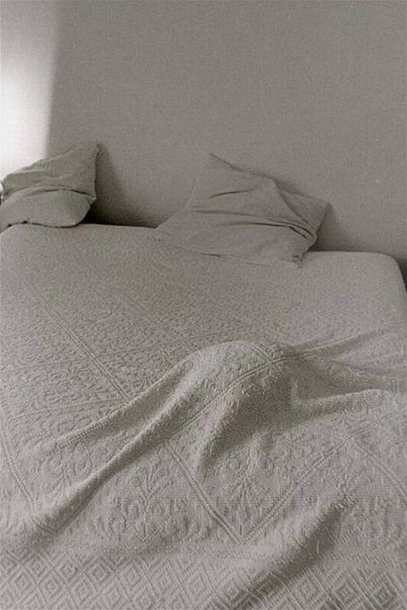 Kote is everywhere Kote is everywhere