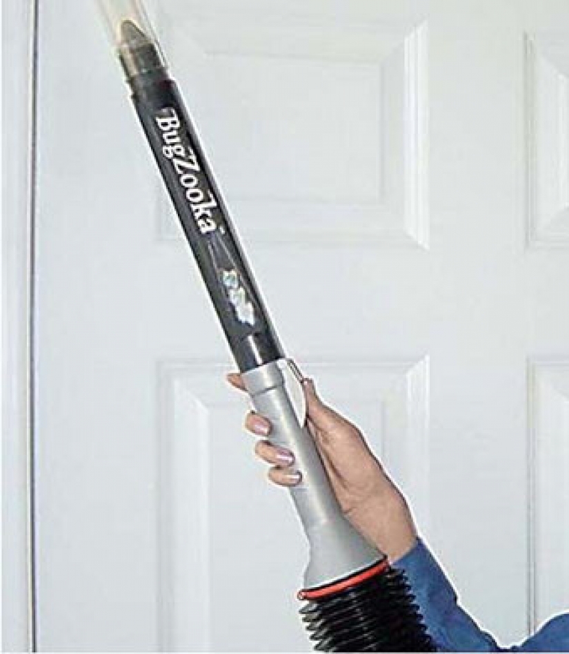 Koto-jugador de luz, el caballo, el asesino de las hormigas: 10 la mayoría de cosas inútiles que se venden en Internet Koto-jugador de luz, el caballo, el asesino de las hormigas: 10 la mayoría de cosas inútiles que se venden en Internet