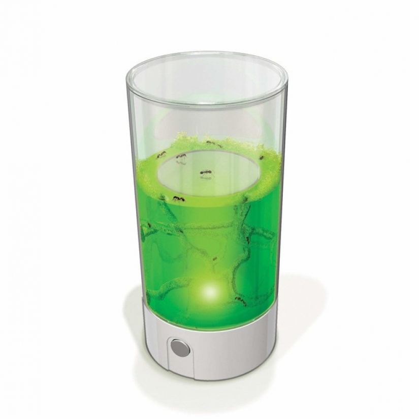 Koto-jugador de luz, el caballo, el asesino de las hormigas: 10 la mayoría de cosas inútiles que se venden en Internet Koto-jugador de luz, el caballo, el asesino de las hormigas: 10 la mayoría de cosas inútiles que se venden en Internet