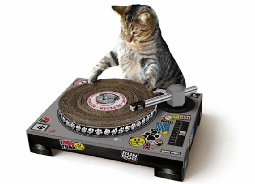 Koto-jugador de luz, el caballo, el asesino de las hormigas: 10 la mayoría de cosas inútiles que se venden en Internet Koto-jugador de luz, el caballo, el asesino de las hormigas: 10 la mayoría de cosas inútiles que se venden en Internet