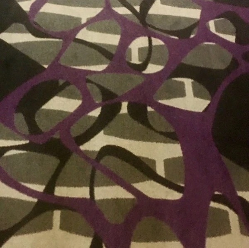 La cuenta de Instagram más aburrida, a la que están suscritas casi 400 mil personas