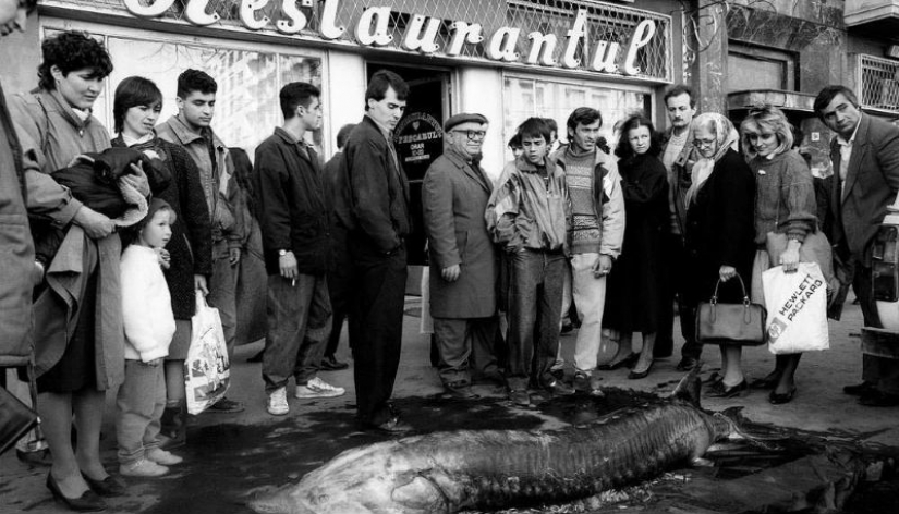La dura Rumania de los años 90, donde los rebaños de ovejas bloqueaban las calles concurridas La dura Rumania de los años 90, donde los rebaños de ovejas bloqueaban las calles concurridas