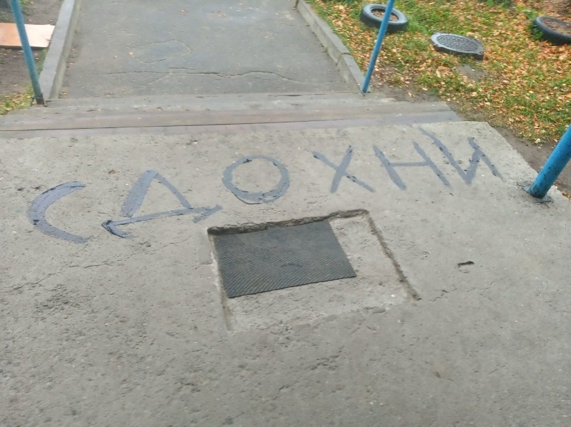 La historia de Kuzi, el gato torturado por los knackers, a quien se erigió un monumento La historia de Kuzi, el gato torturado por los knackers, a quien se erigió un monumento