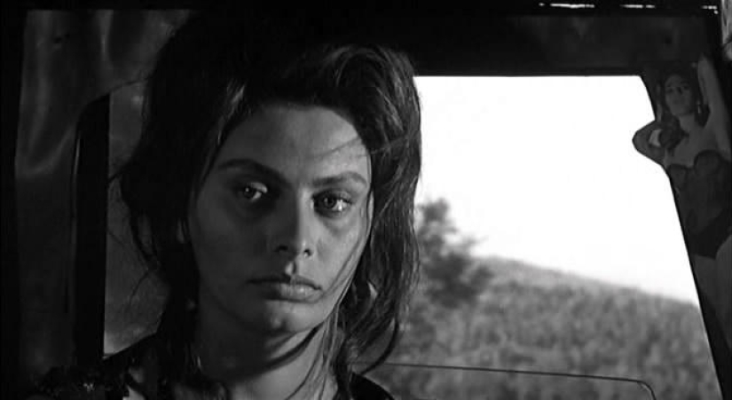 La incomparable Sophia Loren, la mujer italiana más hermosa, cumplió 86 años hoy La incomparable Sophia Loren, la mujer italiana más hermosa, cumplió 86 años hoy