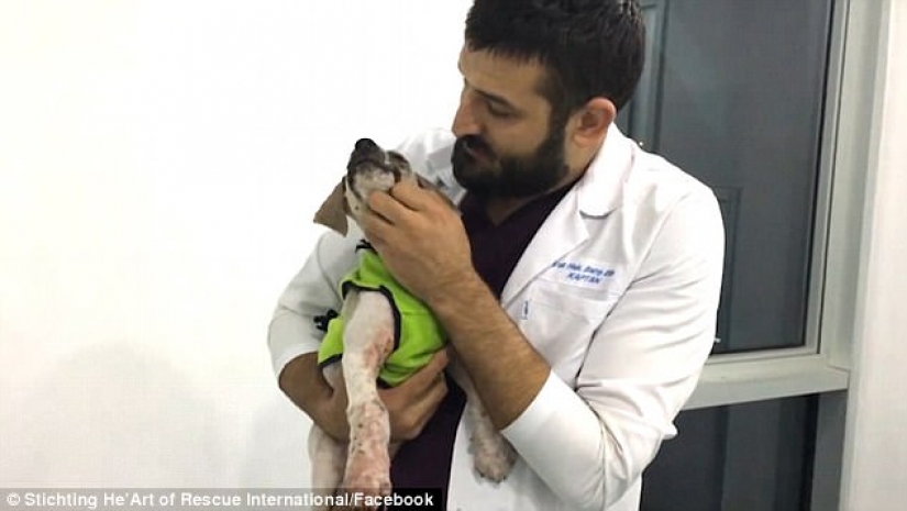 La increíble transformación de Pascal