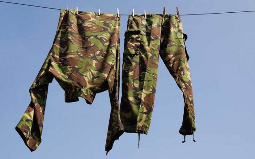 La más extraña de las leyes en el mundo La más extraña de las leyes en el mundo