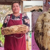 La mujer se encuentra en la playa vómito de ballena que ella podría hacer más de un cuarto de millón de dólares La mujer se encuentra en la playa vómito de ballena que ella podría hacer más de un cuarto de millón de dólares