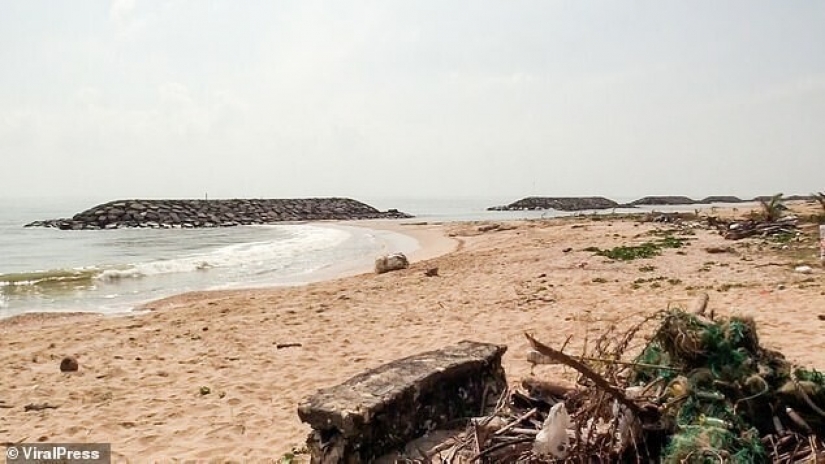 La mujer se encuentra en la playa vómito de ballena que ella podría hacer más de un cuarto de millón de dólares La mujer se encuentra en la playa vómito de ballena que ella podría hacer más de un cuarto de millón de dólares
