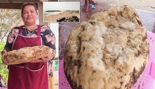 La mujer se encuentra en la playa vómito de ballena que ella podría hacer más de un cuarto de millón de dólares La mujer se encuentra en la playa vómito de ballena que ella podría hacer más de un cuarto de millón de dólares