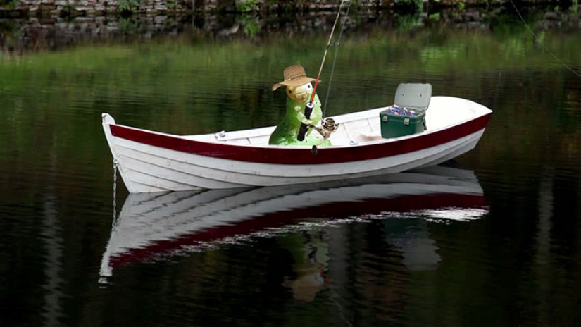 La oruga se ha convertido en una estrella de Internet