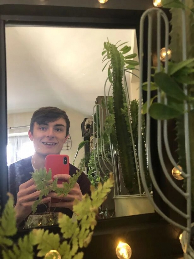 La selva está llamando: cómo vivir en un apartamento lleno de plantas de interior