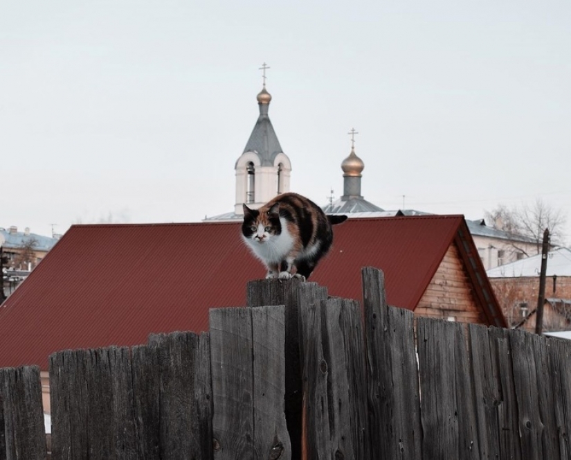 La verdadera Rusia, "prestado" de Orenburg fotógrafo Vugar Mamedzade La verdadera Rusia, "prestado" de Orenburg fotógrafo Vugar Mamedzade