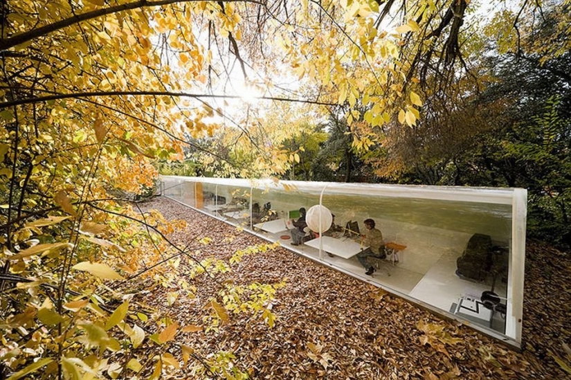 Las 10 oficinas más avanzadas del mundo