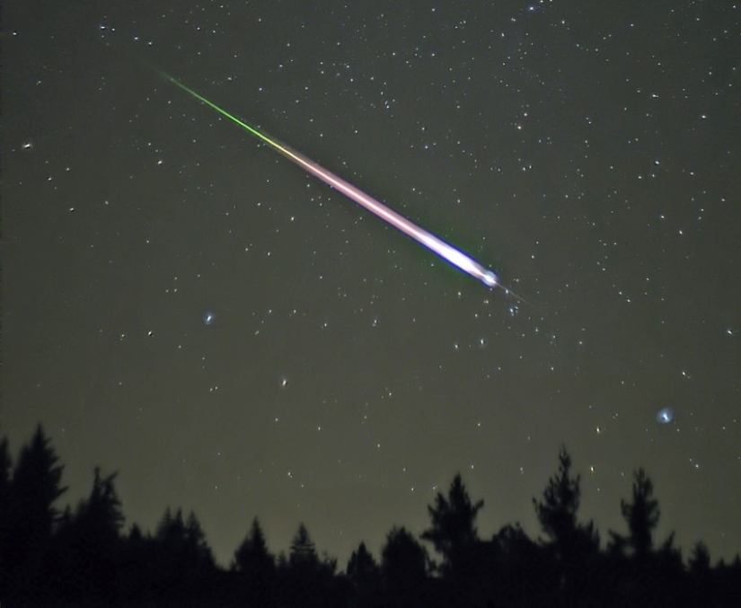 Las 25 enfermedades más extrañas del mundo que los científicos aún no pueden explicar Las 25 enfermedades más extrañas del mundo que los científicos aún no pueden explicar