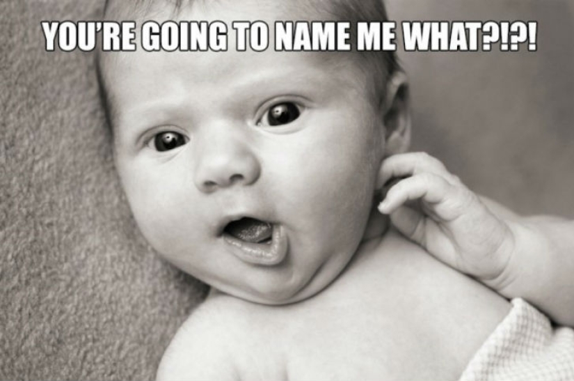 Las Cosas Más Extrañas Jamás Vendidas en eBay Las Cosas Más Extrañas Jamás Vendidas en eBay