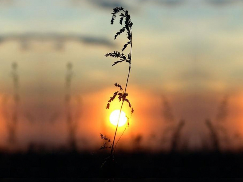 Las cosas más extrañas vendidas o vendidas en eBay
