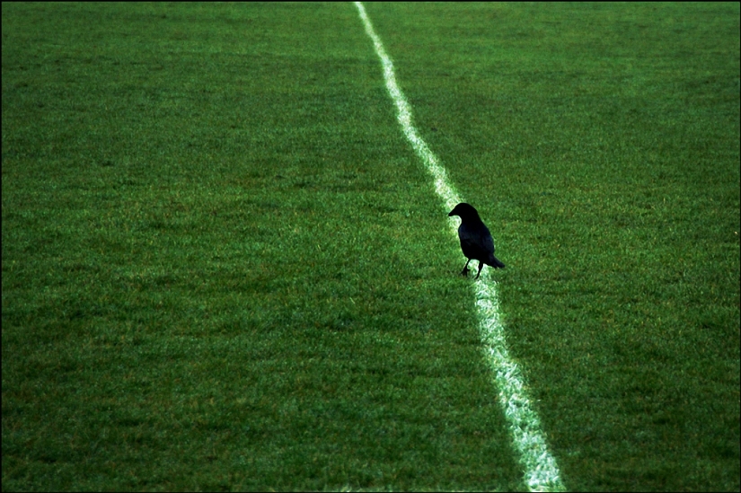 Las divertidas fotos callejeras de Niels Jorgensen