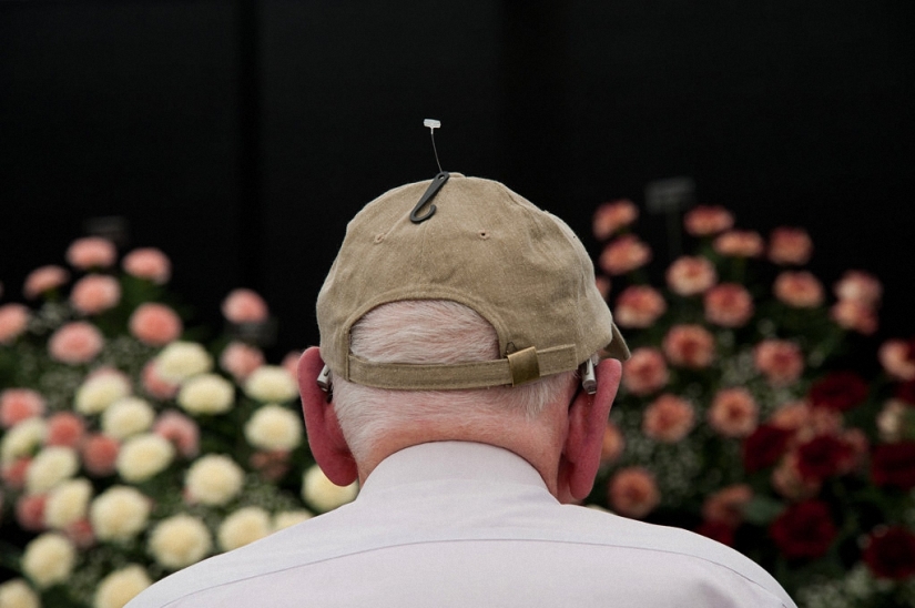 Las divertidas fotos callejeras de Niels Jorgensen