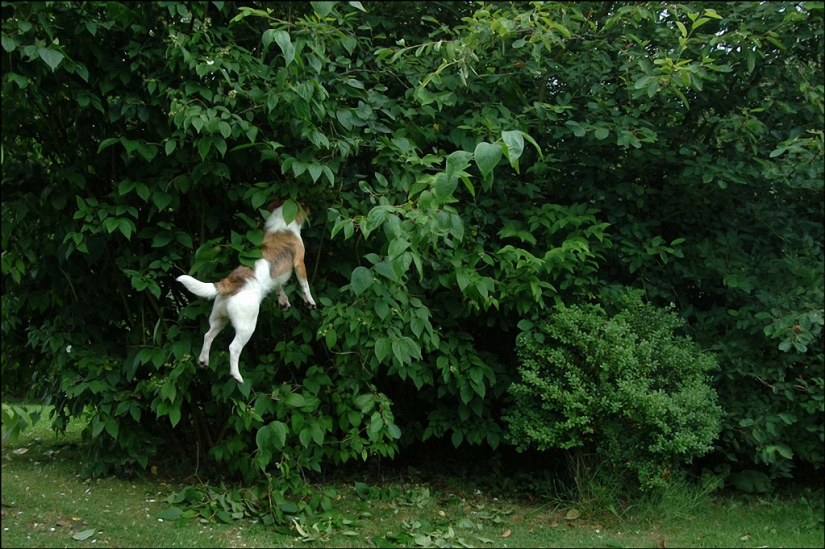 Las divertidas fotos callejeras de Niels Jorgensen