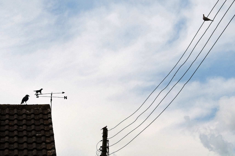 Las divertidas fotos callejeras de Niels Jorgensen