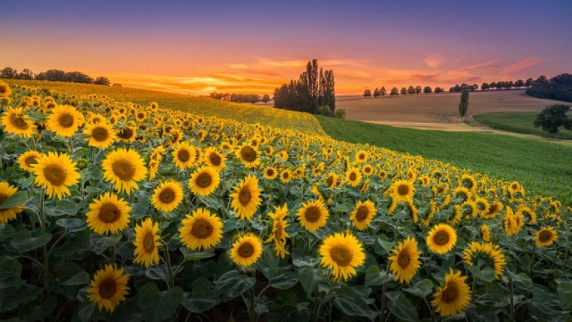 Las fotos más espectaculares del concurso Fine Art Photography Awards Las fotos más espectaculares del concurso Fine Art Photography Awards
