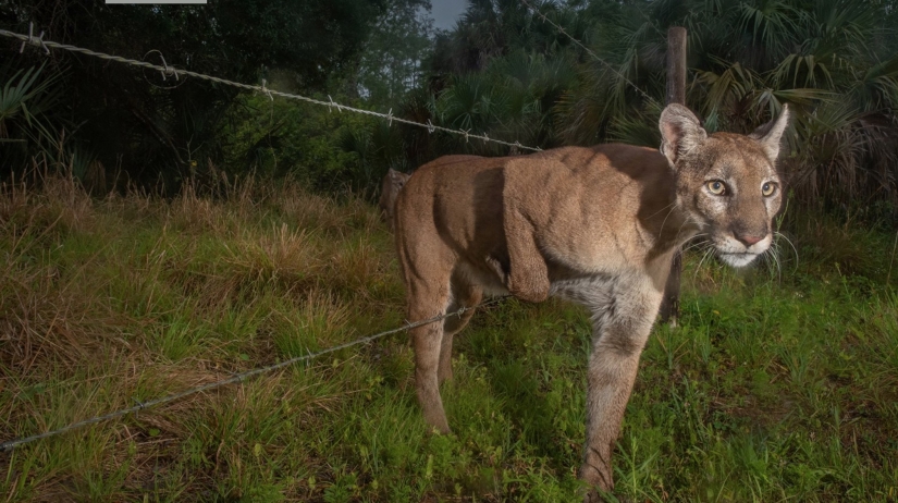 Las mejores fotografías del World Press Photo concurso de 2021