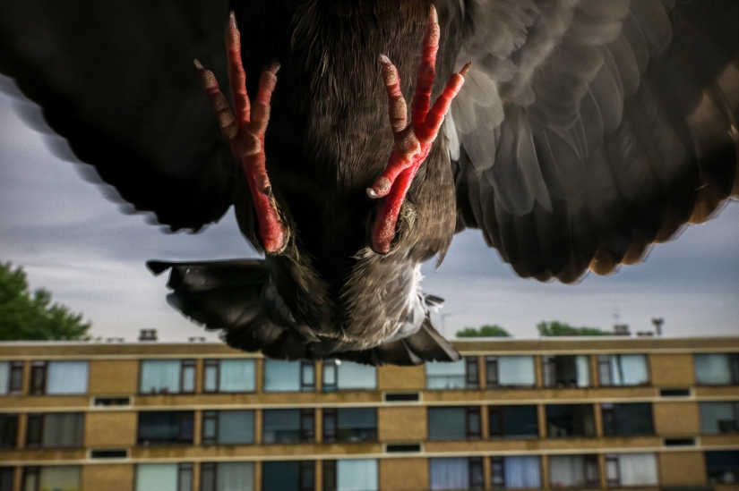 Las mejores fotografías del World Press Photo concurso de 2021