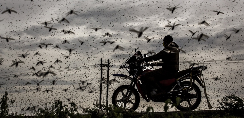 Las mejores fotografías del World Press Photo concurso de 2021