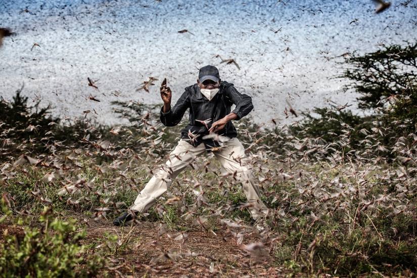 Las mejores fotografías del World Press Photo concurso de 2021
