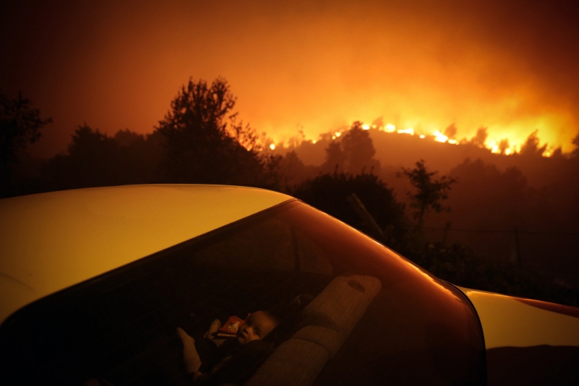 Las mejores fotografías del World Press Photo concurso de 2021