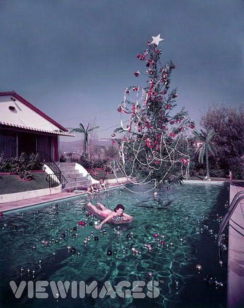 Las mejores fotos de la vida de los ricos y famosos