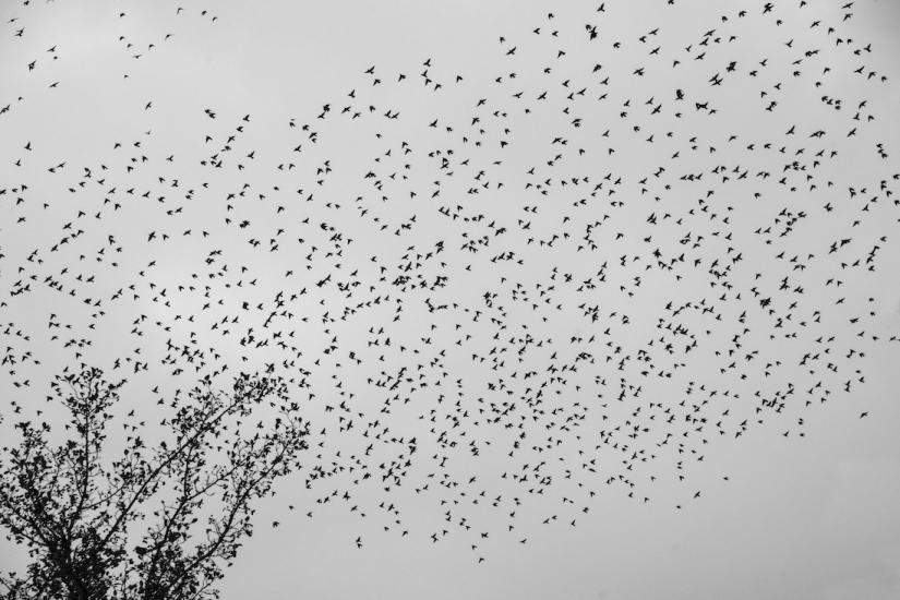 Las mejores fotos del concurso de fotografía monocromática MonoVisions Photography Awards 2021