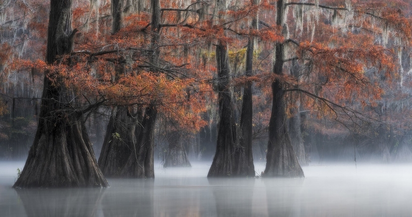 Las mejores fotos del concurso de fotografía monocromática MonoVisions Photography Awards 2021
