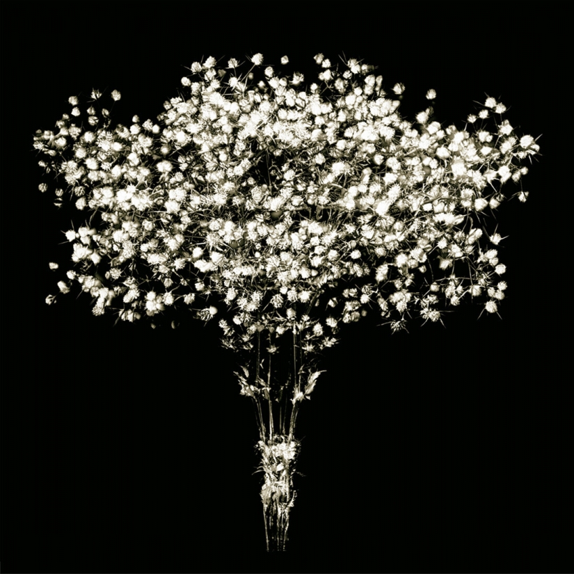 Las mejores fotos del concurso de fotografía monocromática MonoVisions Photography Awards 2021