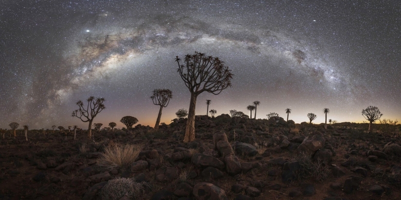 Las mejores fotos del concurso de fotografía monocromática MonoVisions Photography Awards 2021