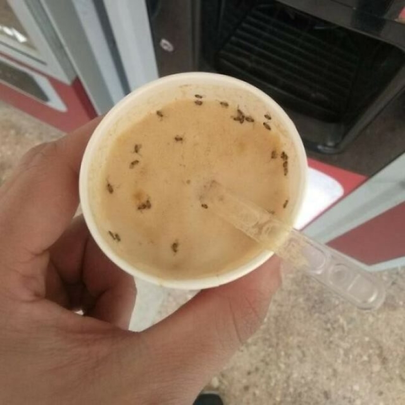 Las peores comidas que alguien se atrevió a servir Las peores comidas que alguien se atrevió a servir