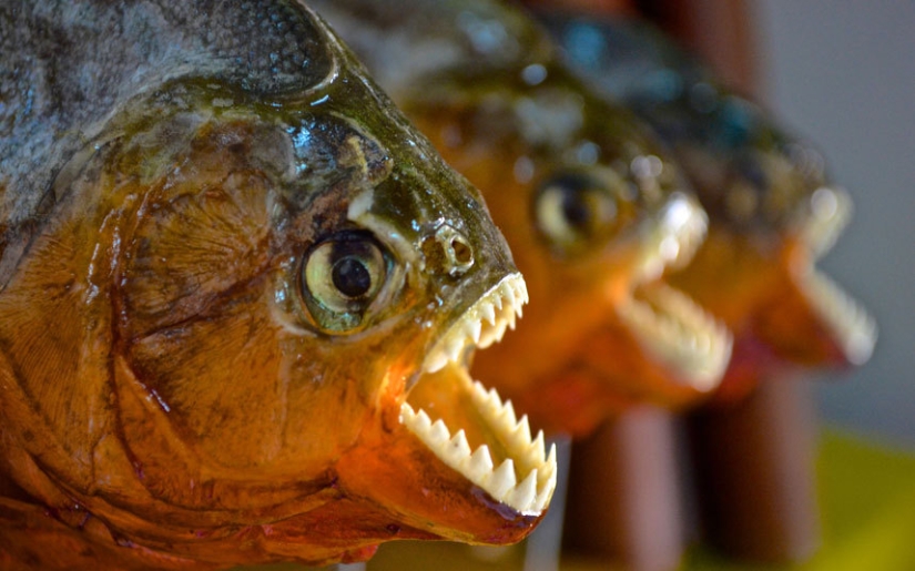 Las playas más peligrosas del mundo.