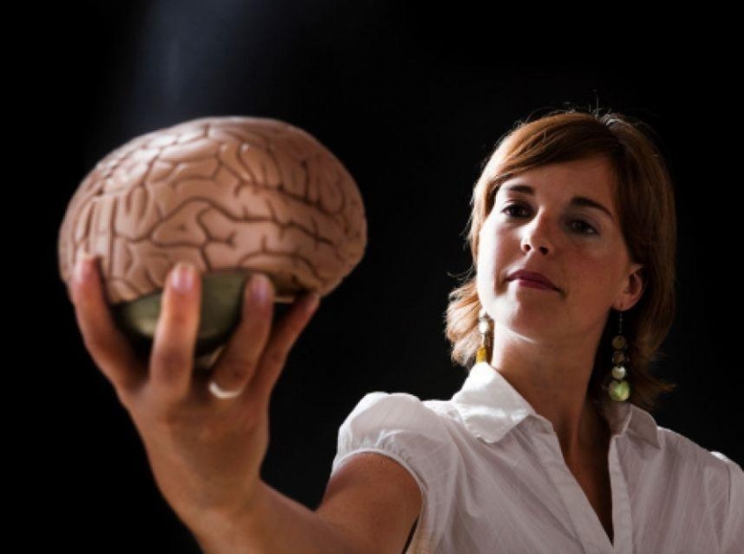Las profesiones más inusuales y extrañas que ni siquiera conocías