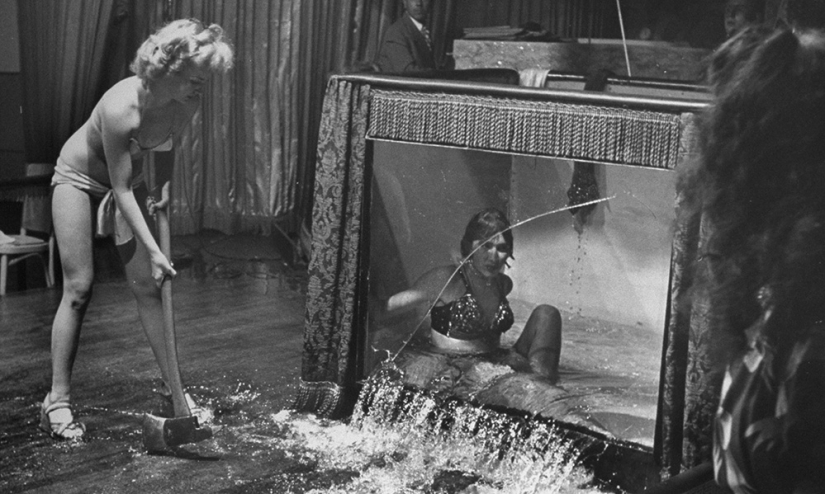 Lie, n***a hedgehog and a provocation Lie, n***a hedgehog and a provocation