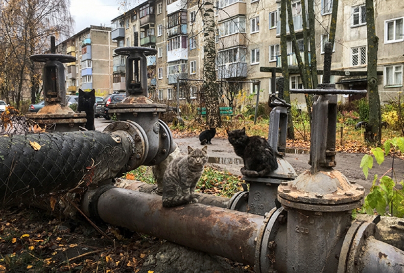 Life at the bottom of the ratings: why do residents not leave the most dangerous city in Russia?